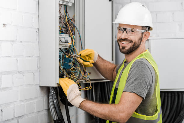 Best Licensed Electrician  in Perry, MI