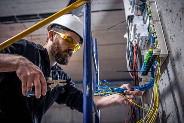 Best 24-Hour Electrician  in Perry, MI