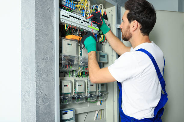 Best Electric Panel Repair  in Perry, MI