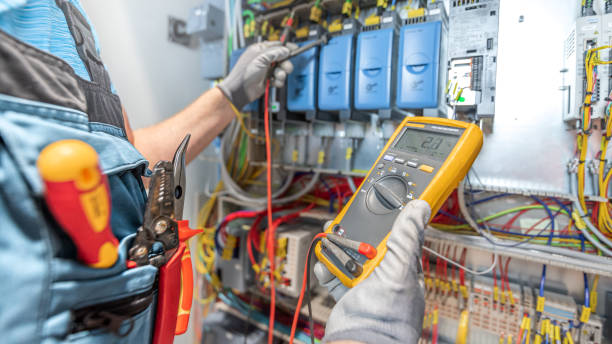 Best Electrical System Inspection  in Perry, MI
