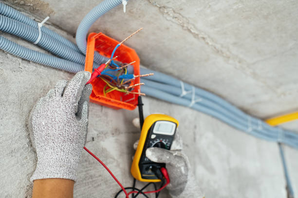 Best Affordable Electrical Installation  in Perry, MI