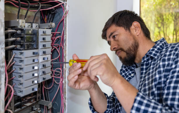 Best Electric Panel Repair  in Perry, MI